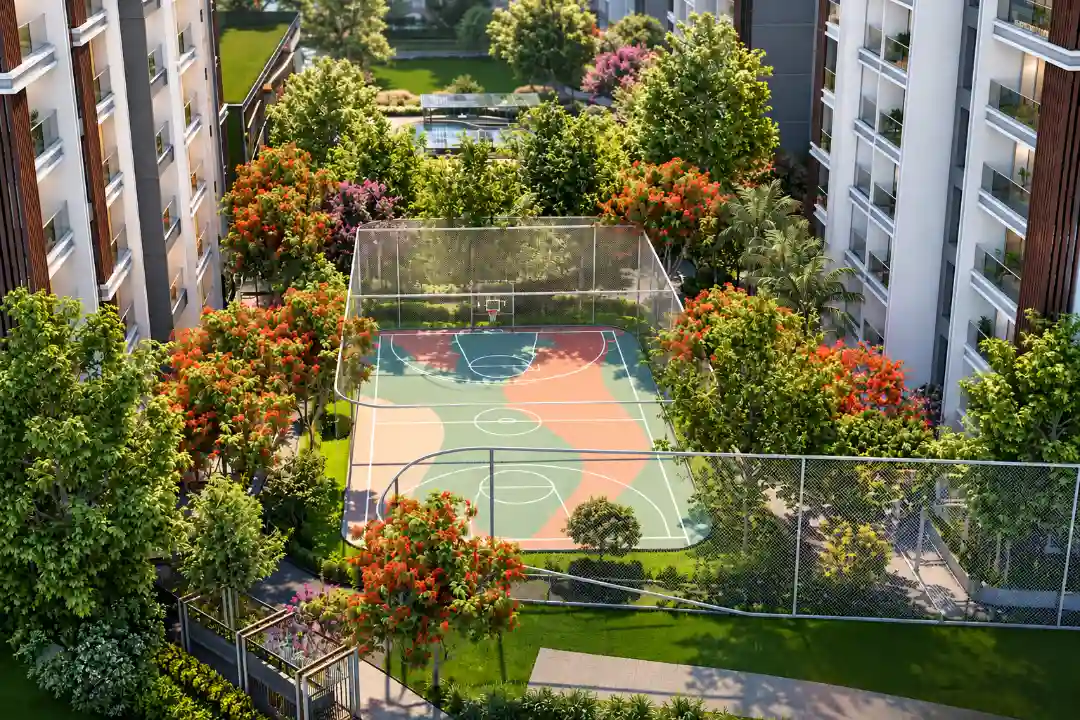 Basketball Court